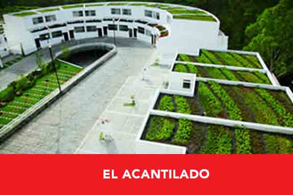 Portfolio-image