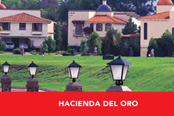 Portfolio-image