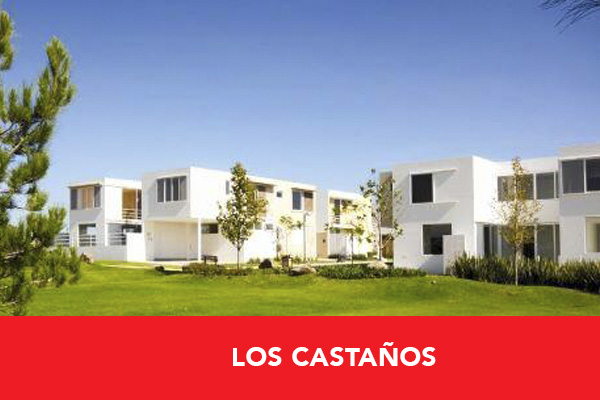 Portfolio-image